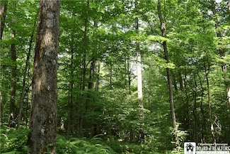 0 Sawmill Run Rd Unit R1558668, Little Valley, NY 14755