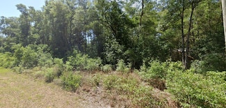 00 SW Starling Dr, Dunnellon, FL 34431