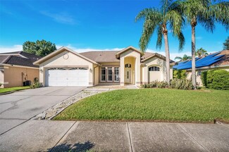 13508 Ironton Dr, Tampa, FL 33626