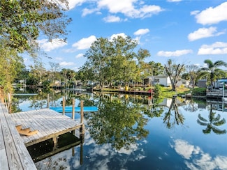 6999 E Richard Dr, Weeki Wachee, FL 34607