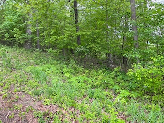 Tbd Lone Oak Dr, Kingsport, TN 37663