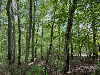 99999 Morning Star Dr Unit Lot 13, Leicester, NC 28748