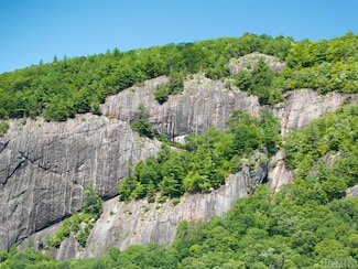 107 Roll Cast Ln, Sapphire, NC 28774