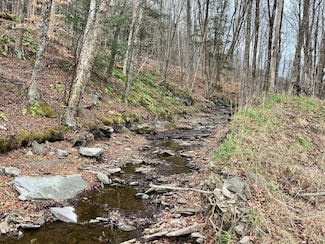 645 Big Hollow Rd, Deposit, NY 13754