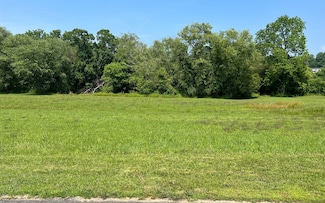LT 55 Brasstown Trail, Brasstown, NC 28902