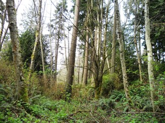 0 Clare - Marble Ln Unit 759247, Indianola, WA 98342