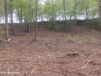 925 Elm Hill Ln, Leitchfield, KY 42754