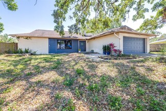 12503 Twisted Oak Dr Unit 1, Tampa, FL 33624