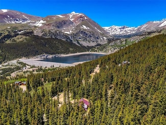 60 Jackson Rd, Alma, CO 80420