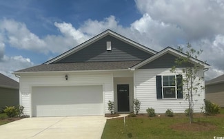 206 Hadley Springs Ave, Longs, SC 29568