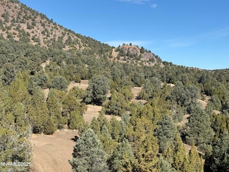 2120 Scorpion Rd Unit 212, Reno, NV 89521