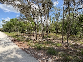 0 SE 190th Ave, Old Town, FL 32680