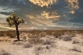 2000 Celeste Rd, Joshua Tree, CA 92252