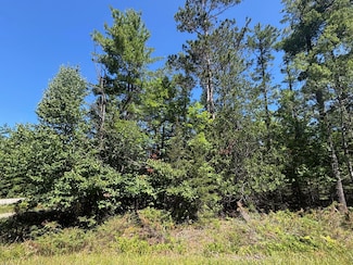 NHN Norwood Ct, Presque Isle, MI 49777