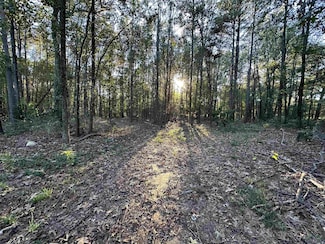 1764 Lavender Rd, Gilmer, TX 75644