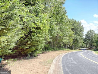 0 Cider Ridge Unit 923 10509536, Clarkesville, GA 30523