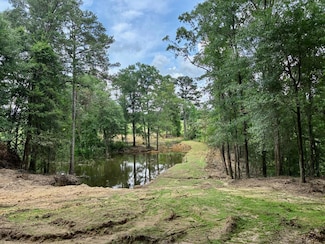 0 Highway 29, Troy, AL 36081