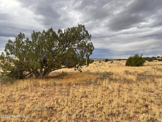 4379 S Starlit Trail, Williams, AZ 86046