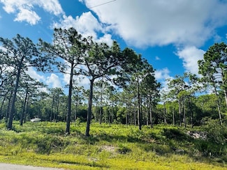 601 Houston Rd, Eastpoint, FL 32328