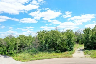 120 Bear Cat Ct, Alvord, TX 76225
