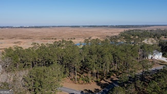 V/L 48 Sanctuary Cove None, Waverly, GA 31565