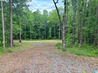 Lots 6 and 7 Sellers Rd Unit 6 & 7, Dora, AL 35062