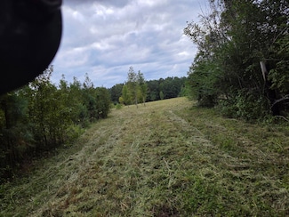 00 Flatwoods Rd, Reevesville, SC 29471