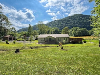 8 Old Hannahsville Ln, Parsons, WV 26287