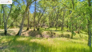 17951 Crowbar Ln, Tuolumne, CA 95379