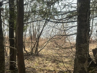 Lot 1 Tressler Dr Unit Lot 1, Lakefield Township, MI 49853
