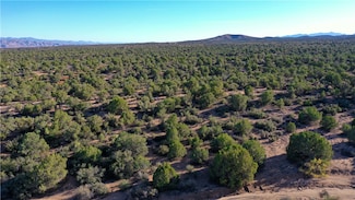 12 ACRES E Old Highway 93, Kingman, AZ 86401