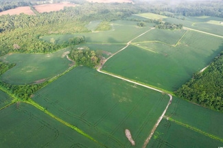 1335, Olanta, SC 29114