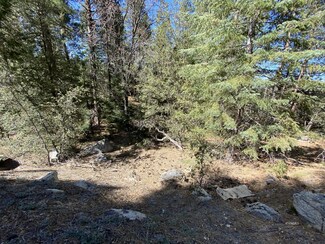 0 Hwy 243 Unit 2009844, Idyllwild, CA 92549