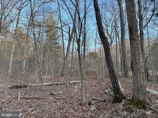 Lot 90A,91A,129,130, Vesey Dr, Shenandoah Farms, VA 22630