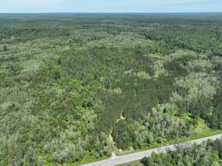 0 V L 13 Mile Rd, Bitely, MI 49309