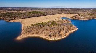 Lot 10 Eagles Nest Cir, Mount Vernon, TX 75457