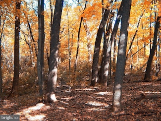 17436 Claggett Landing Rd, Upper Marlboro, MD 20774