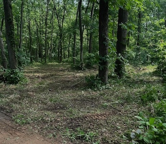 13933 Fairbanks St, Cedar Lake, IN 46303