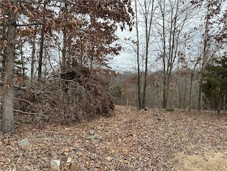 Lot 1 Deer Meadows Ln, Yellville, AR 72687