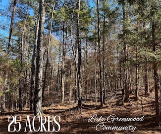 00 Terrapin Pointe Rd, Hodges, SC 29653