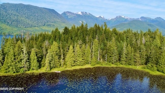 L217 Klawock Lake Rd, Klawock, AK 99925