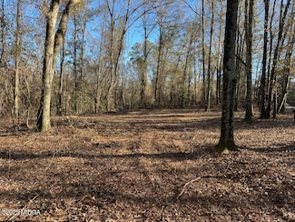 0 N Peach Pkwy Unit 175940, Fort Valley, GA 31030
