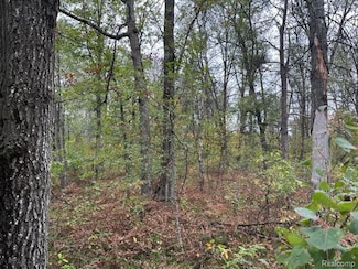 10 Acres W 6 Mile Rd, Beaver Creek Township, MI 49738