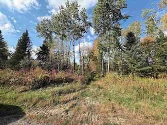 0 Wisconsin 52, White Lake, WI 54491