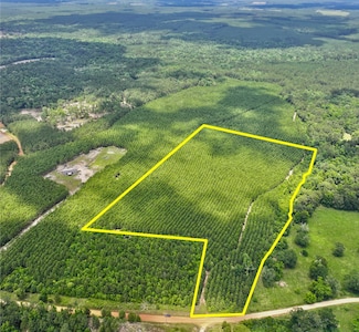 TBD Menard Chapel Rd, Livingston, TX 77351