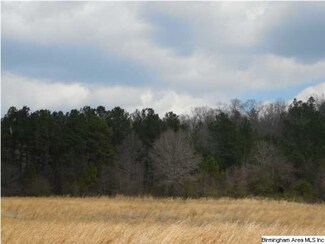 0 Rainbow Ridge Rd Unit 30 ACRES 591770, Anniston, AL 36207