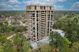 14655 Champion Forest Dr Unit 1102, Houston, TX 77069