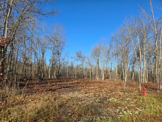 5850 Bear Lake Rd, Charlton Township, MI 49751