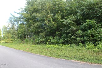 Lot 9 Green Lake Dr, Kingsport, TN 37663