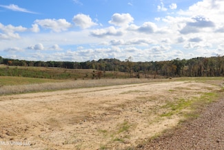 Tract 8 Hugh White State Park Rd, Grenada, MS 38901